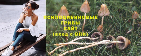 круглые Алзамай