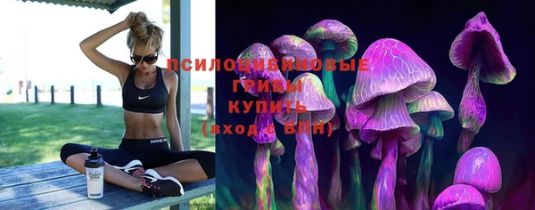 прущий лед Алексин